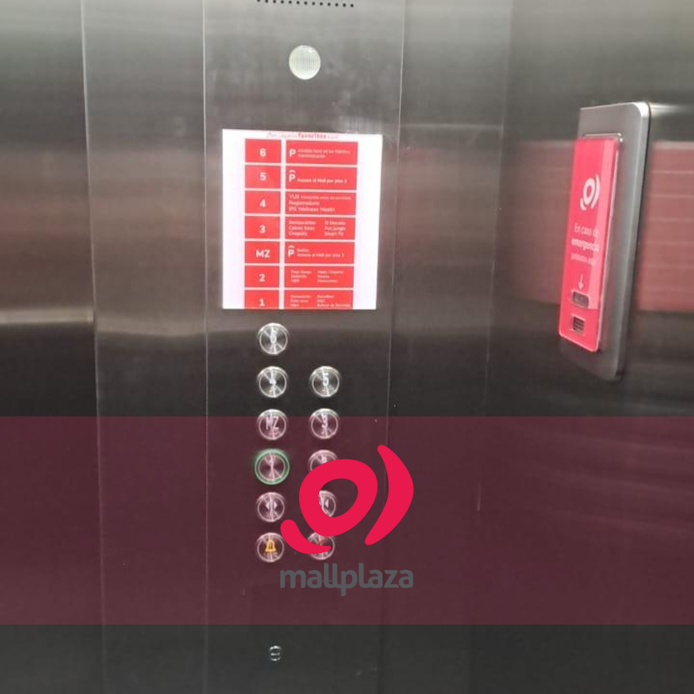 Descripción de la imagen 5 del año 2025