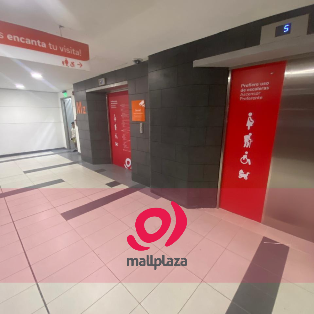 Descripción de la imagen 3 del año 2025