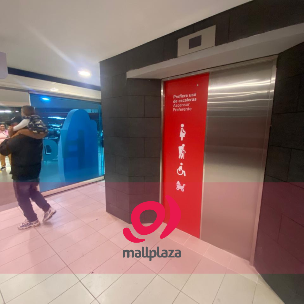 Descripción de la imagen 3 del año 2025