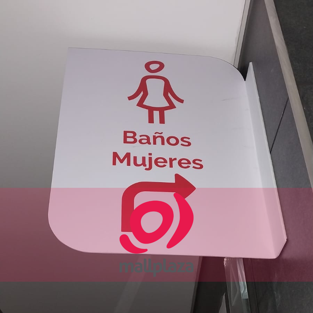 Descripción de la imagen 3 del año 2025