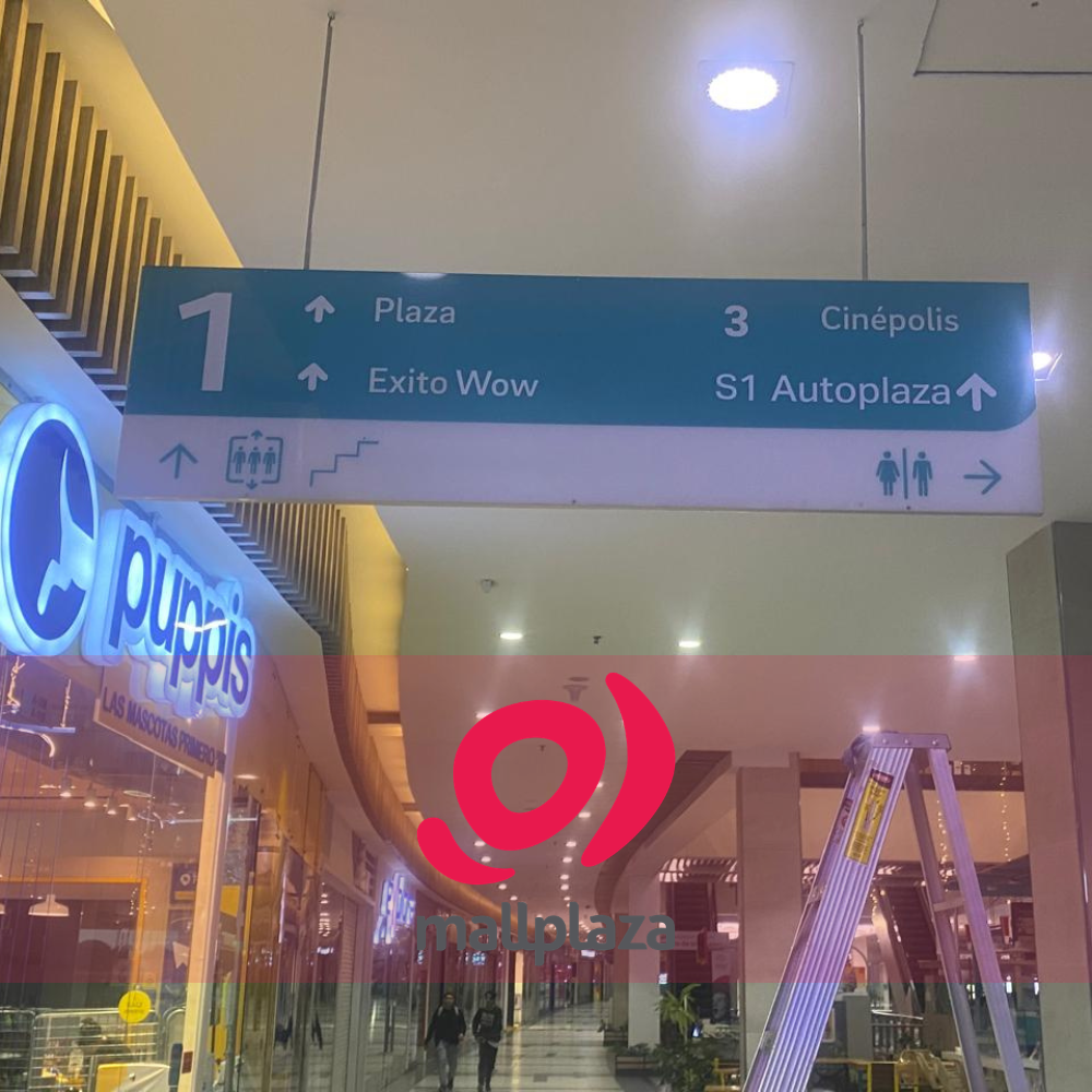 Descripción de la imagen 3 del año 2025