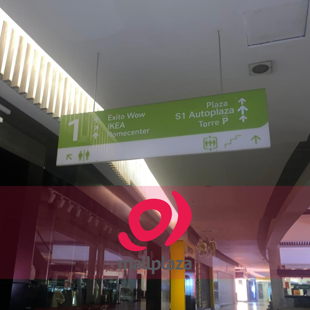 Descripción de la imagen 3 del año 2025