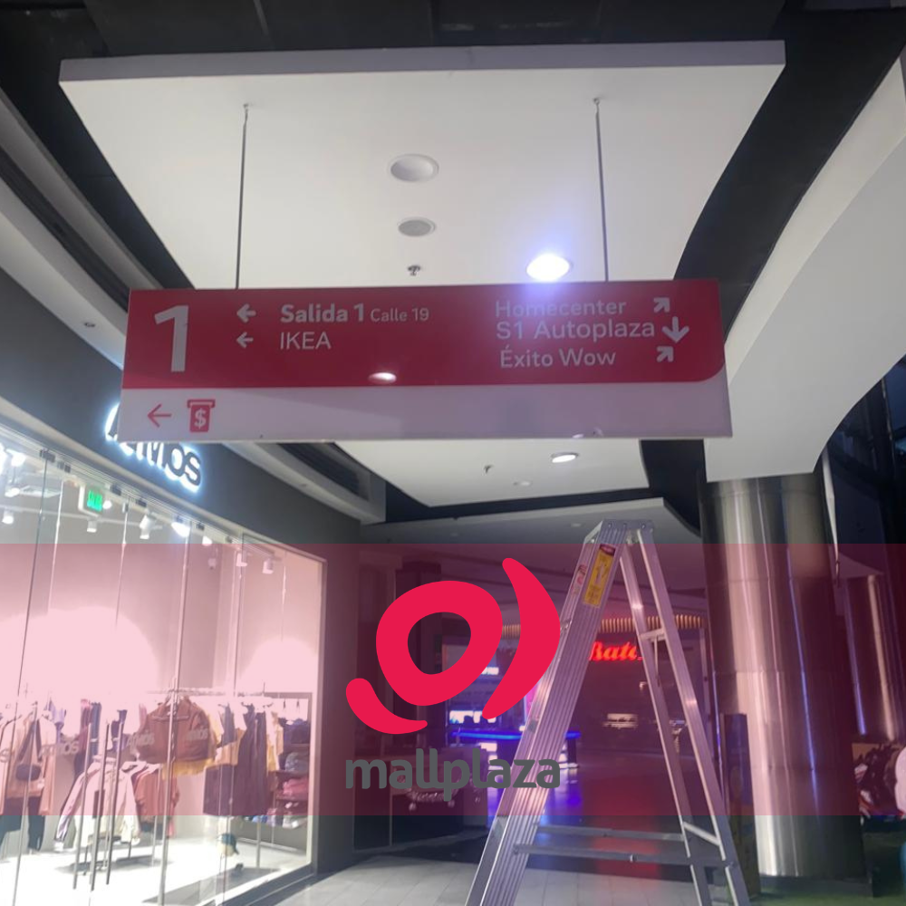 Descripción de la imagen 3 del año 2025