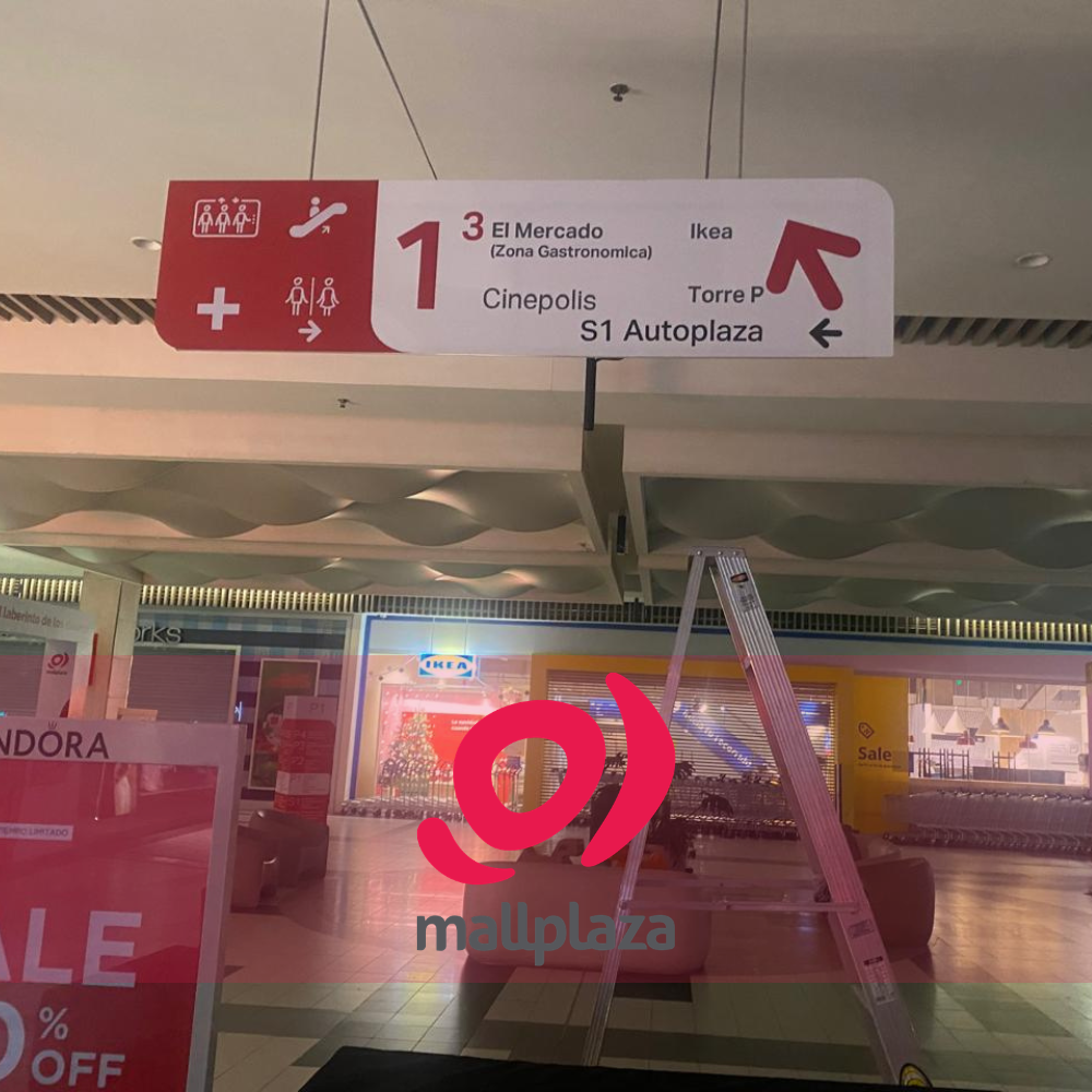 Descripción de la imagen 3 del año 2025