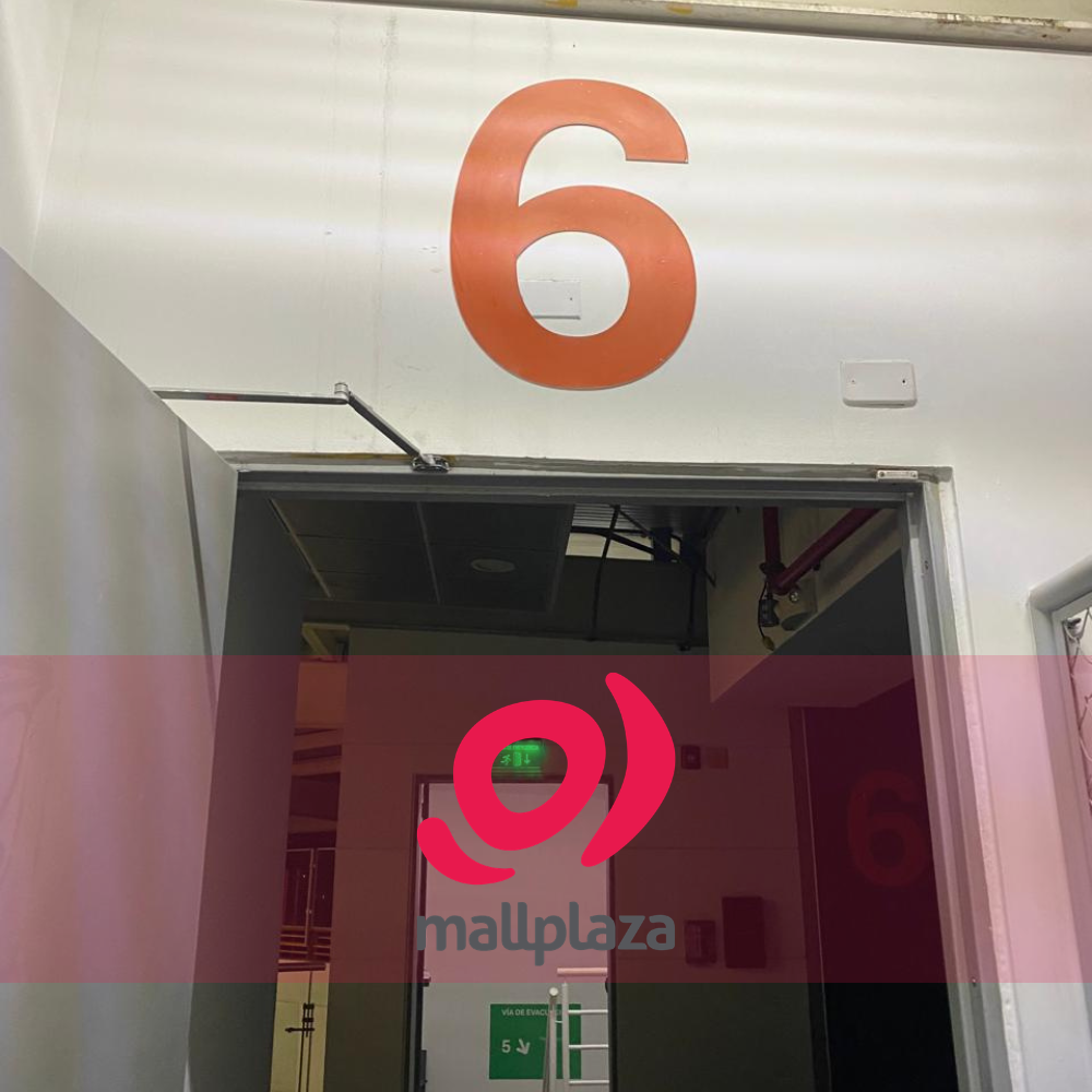 Descripción de la imagen 3 del año 2025