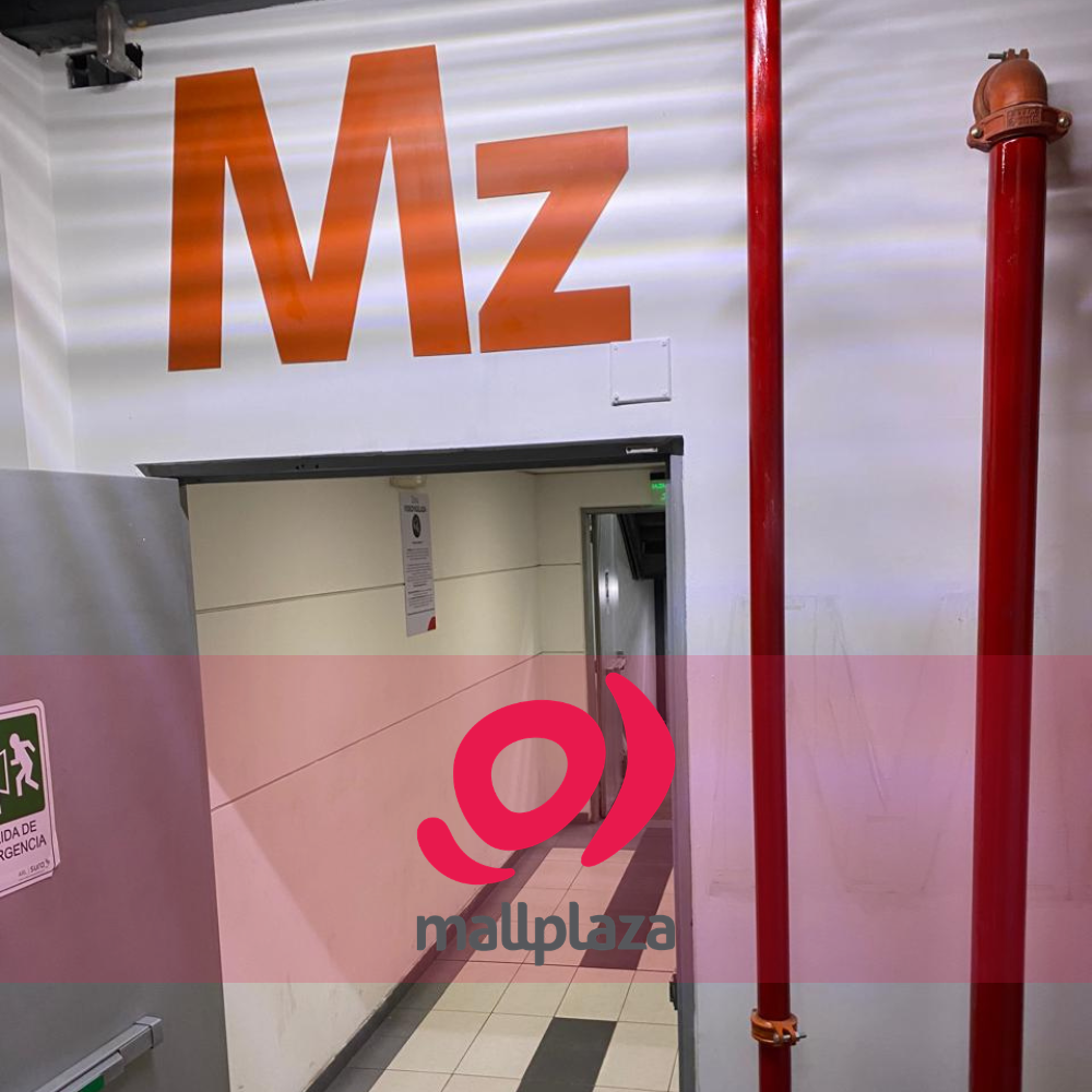 Descripción de la imagen 3 del año 2025