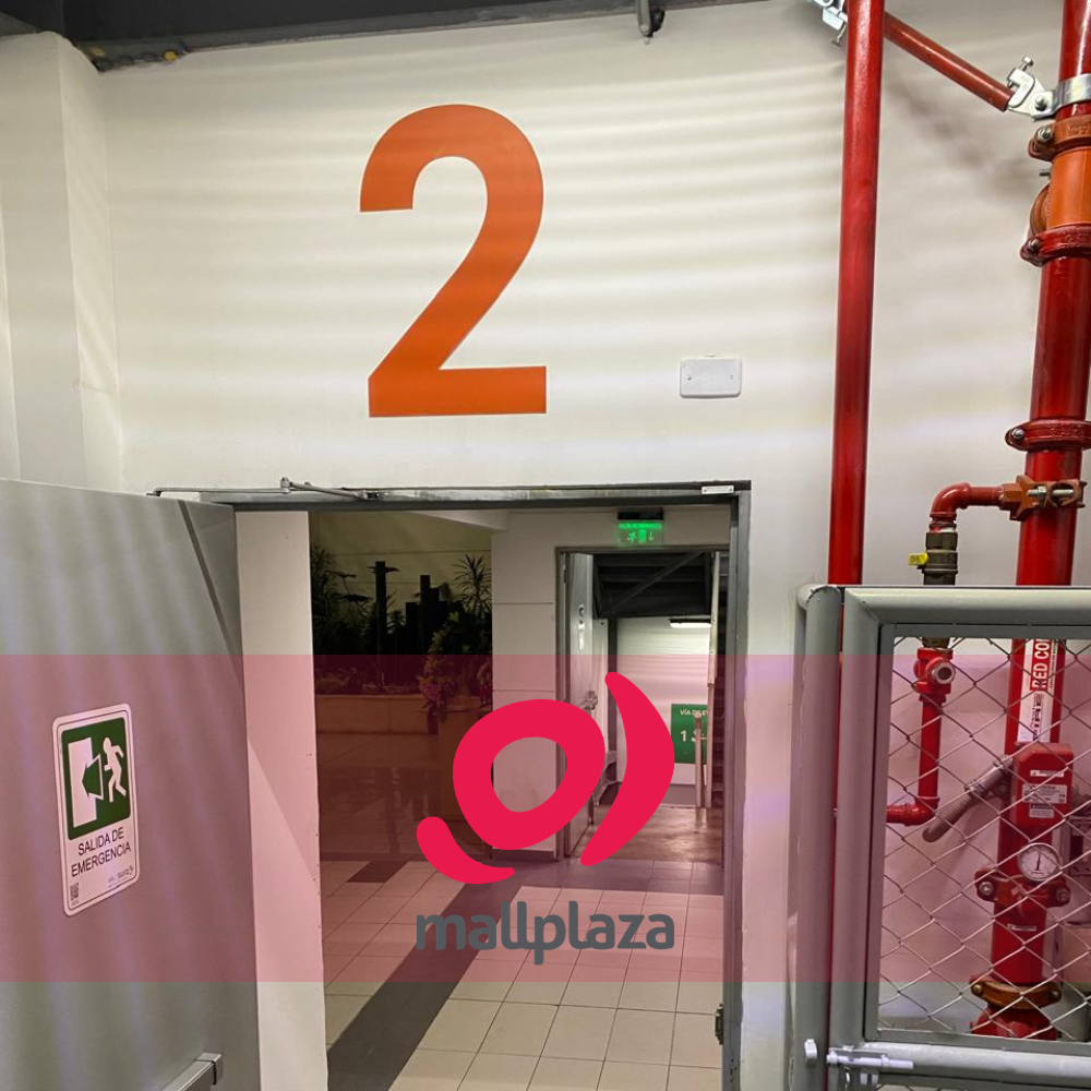 Descripción de la imagen 3 del año 2025