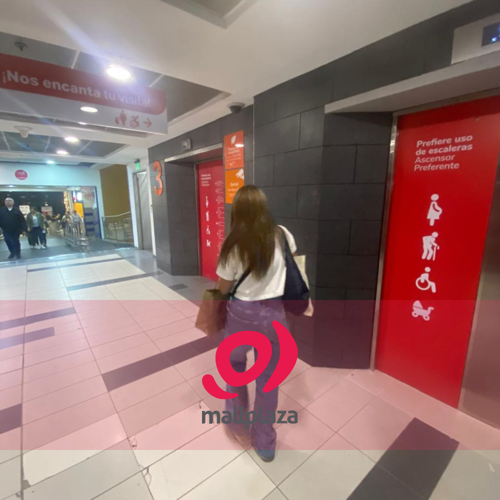 Descripción de la imagen 3 del año 2025