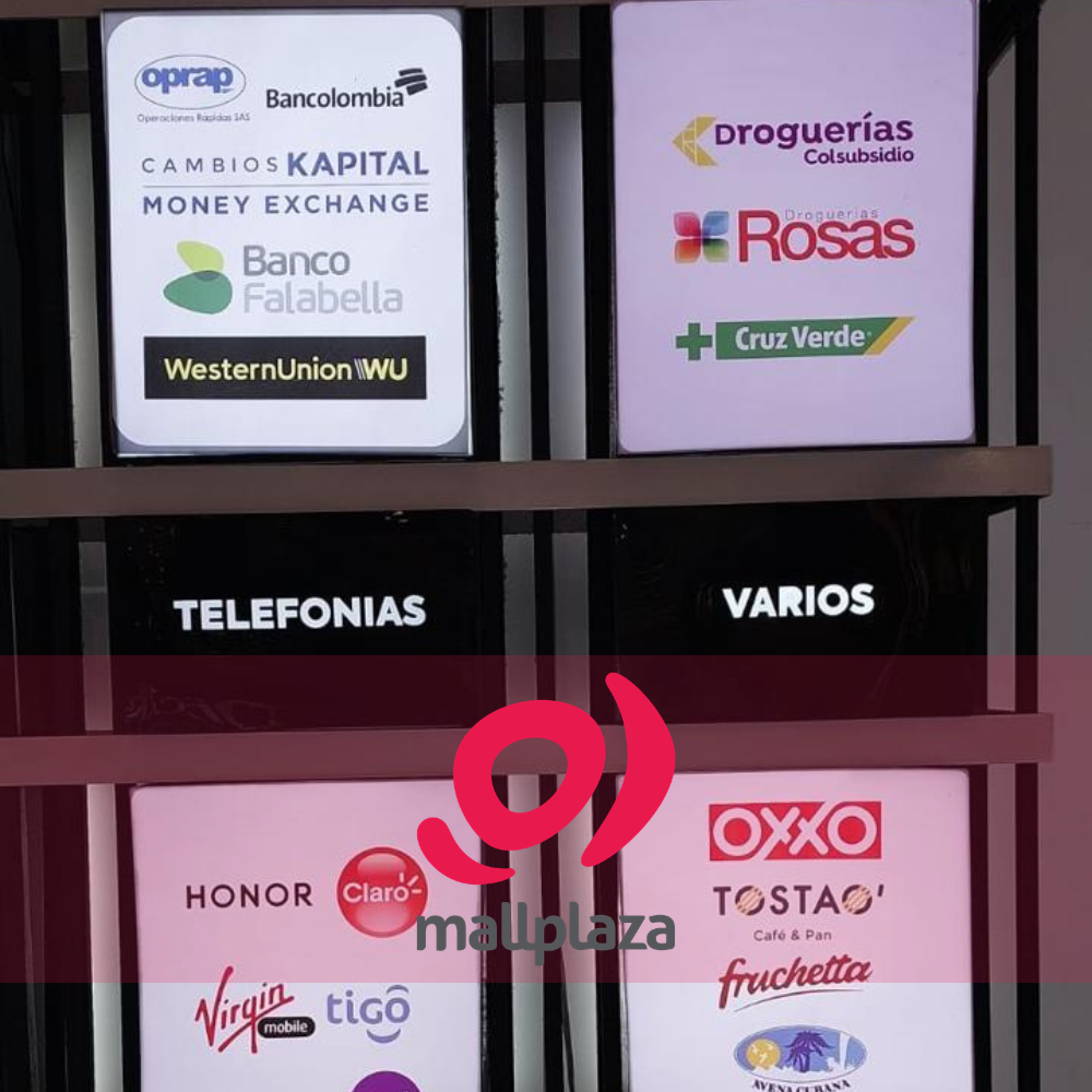 Descripción de la imagen 3 del año 2025