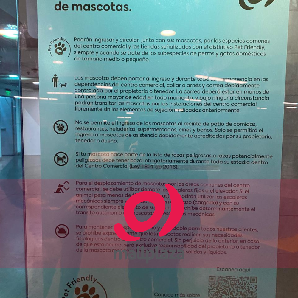 Descripción de la imagen 3 del año 2025