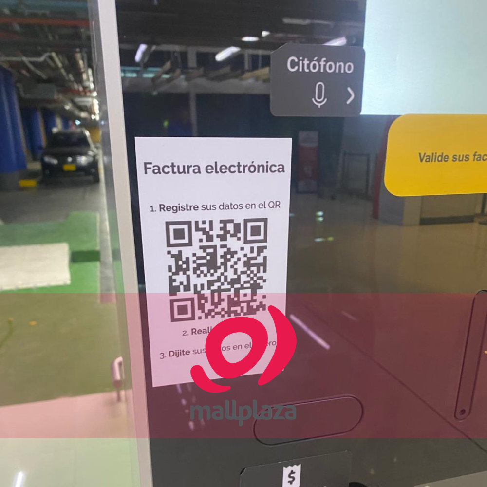 Descripción de la imagen 3 del año 2025