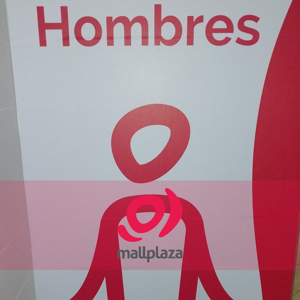 Descripción de la imagen 3 del año 2025