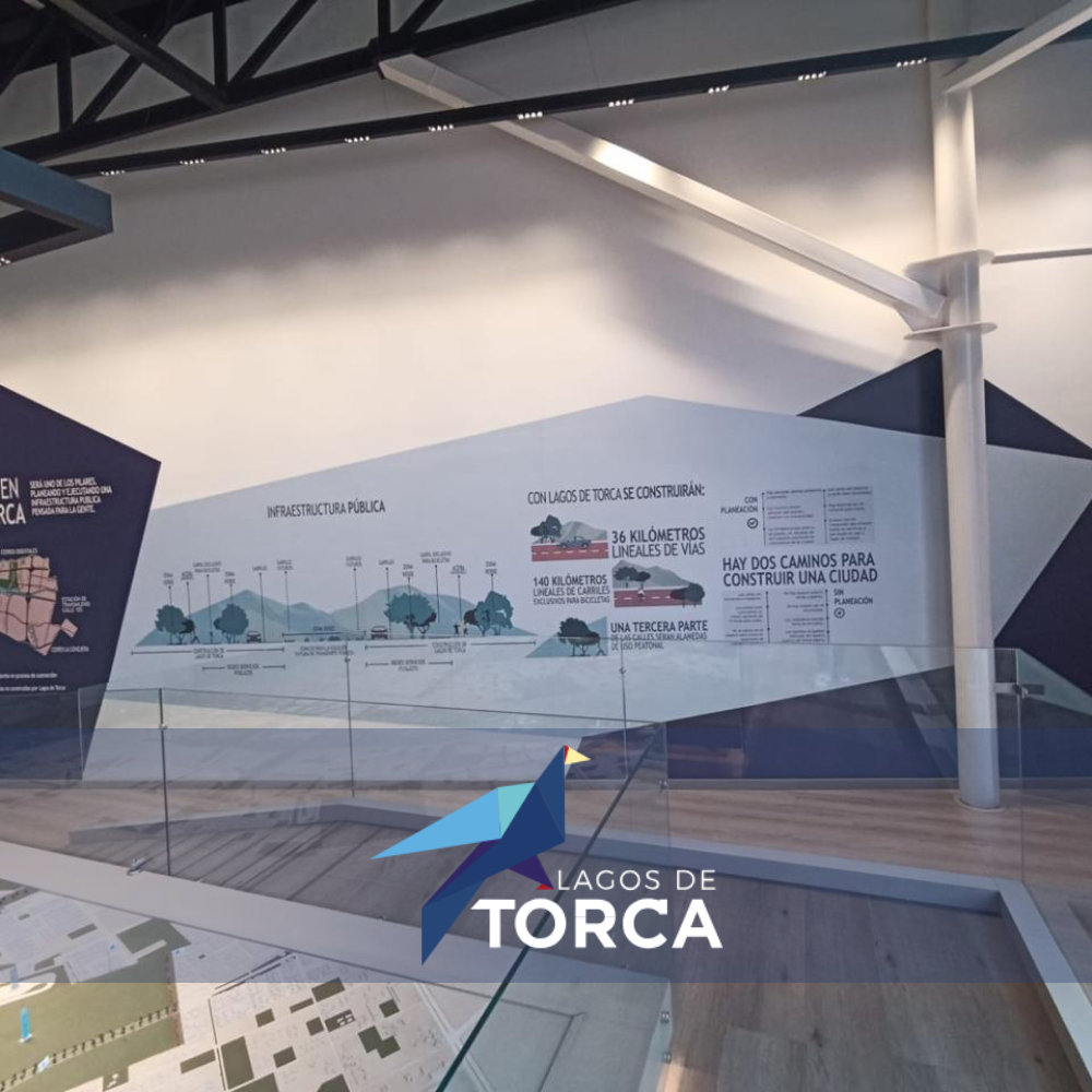 Descripción de la imagen 6 del año 2025