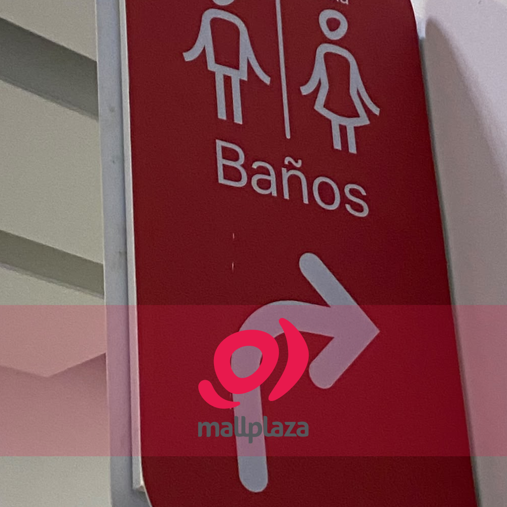 Descripción de la imagen 3 del año 2025