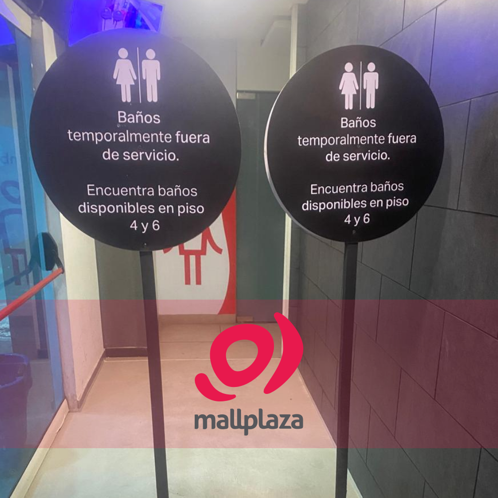 Descripción de la imagen 3 del año 2025