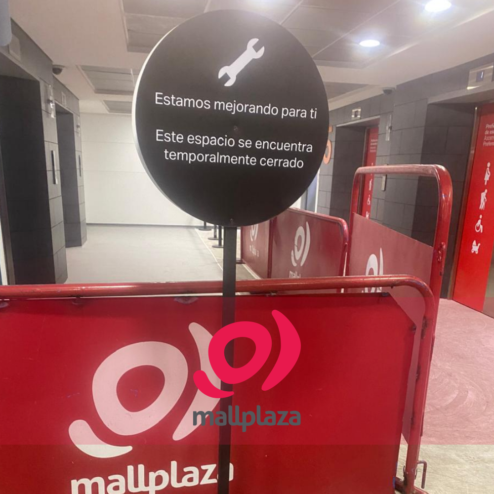 Descripción de la imagen 3 del año 2025